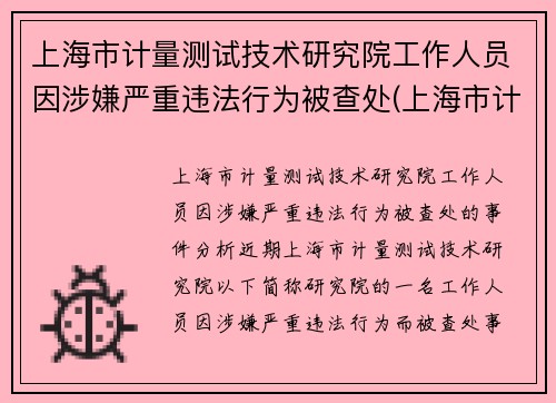 上海市计量测试技术研究院工作人员因涉嫌严重违法行为被查处(上海市计量检测技术研究院)