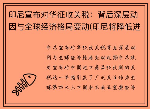 印尼宣布对华征收关税：背后深层动因与全球经济格局变动(印尼将降低进口关税)